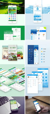 UI設計與軟件開發生態 從App、小程序到網站的全鏈路解析
